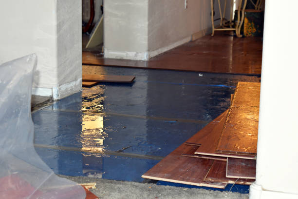 Professional Basement Water Removal technician working in Arnold, CA